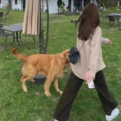 爱情的理解